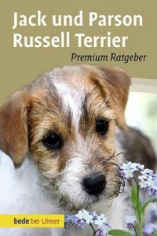 Könyv Jack und Parson Russell Terrier Annette Schmitt