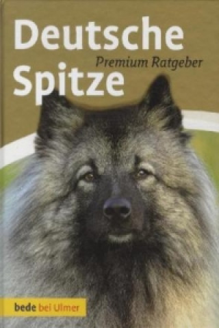 Könyv Deutsche Spitze Annette Schmitt