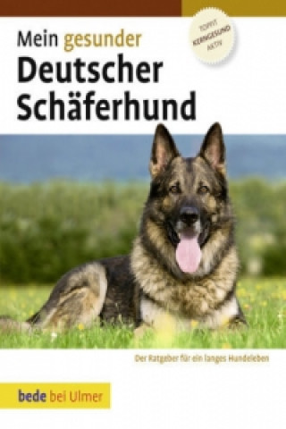 Kniha Mein gesunder Deutscher Schäferhund Lowell Ackerman