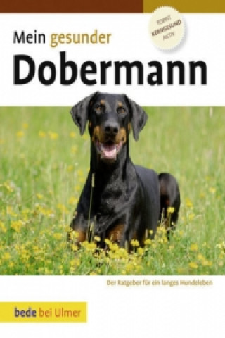 Kniha Mein gesunder Dobermann Lowell Ackerman