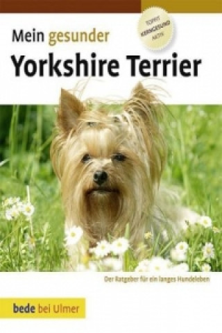 Kniha Mein gesunder Yorkshire Terrier Lowell Ackerman