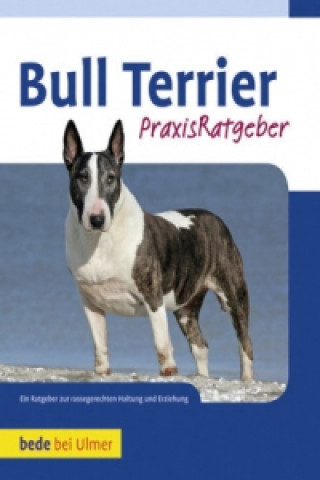 Könyv Bull Terrier Bethany Gibson