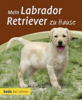 Carte Mein Labrador Retriever zu Hause Maike Harms