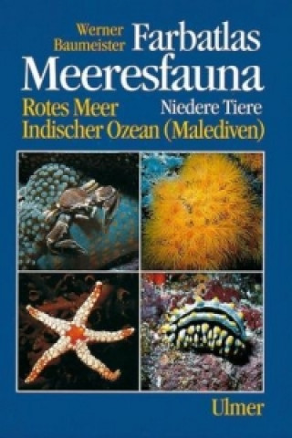 Carte Farbatlas Meeresfauna. Rotes Meer, Indischer Ozean (Malediven) / Niedere Tiere Werner Baumeister