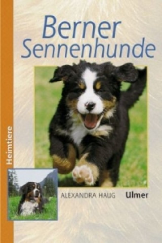 Kniha Berner Sennenhunde Alexandra Haug