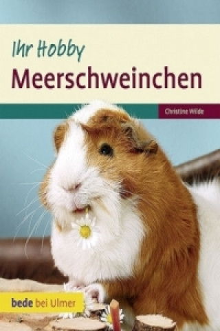 Kniha Meerschweinchen Christine Wilde