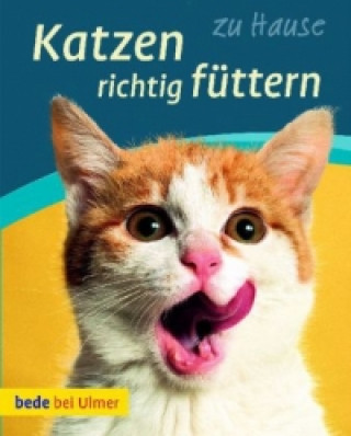 Kniha Katzen richtig füttern Anna Laukner