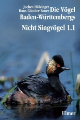 Książka Nicht-Singvögel. Tl.1/1 Jochen Hölzinger