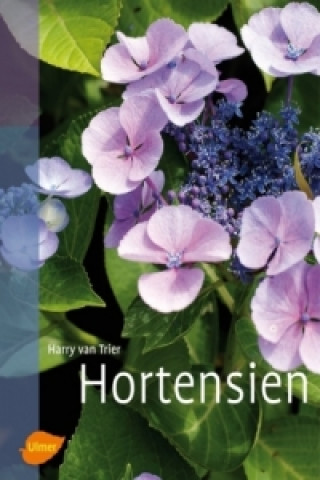 Kniha Hortensien Harry Van Trier
