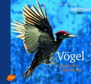 Kniha Vögel - Magische Momente Markus Varesvuo