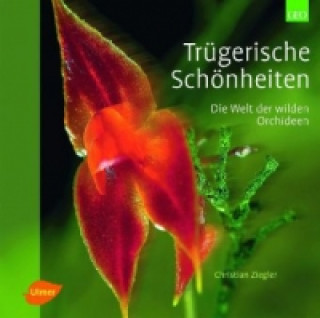 Kniha Trügerische Schönheiten Christian Ziegler