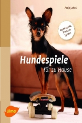 Carte Hundespiele für zu Hause Anja Jakob