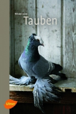Kniha Tauben Wilhelm Bauer