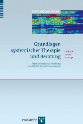 Carte Grundlagen systemischer Therapie und Beratung Günter Schiepek