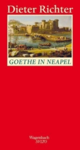 Книга Goethe in Neapel Dieter Richter