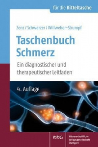 Könyv Taschenbuch Schmerz Michael Zenz
