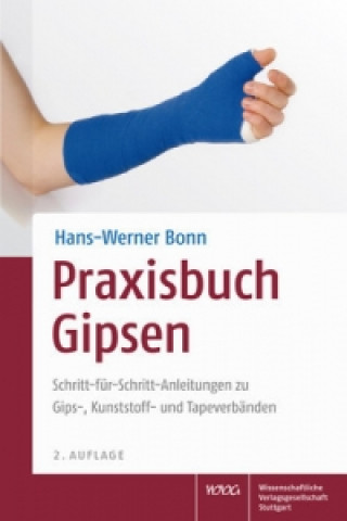 Książka Praxisbuch Gipsen Hans-Werner Bonn