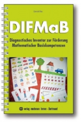 Könyv DIFMaB, m. Begleitheft und Material Carin de Vries