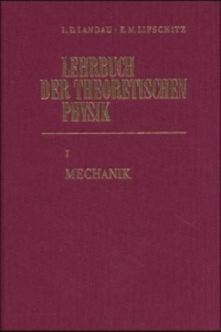 Könyv Mechanik Paul Ziesche