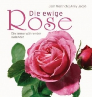 Kniha Die ewige Rose Josh Westrich