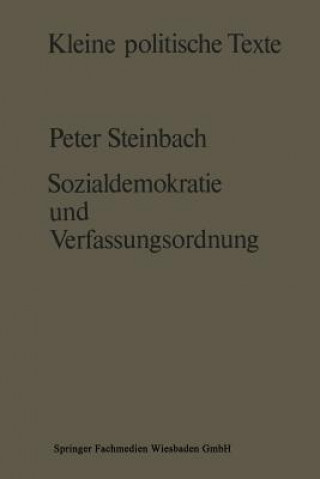 Kniha Sozialdemokratie Und Verfassungsverstandnis Peter Steinbach