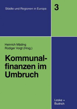 Kniha Kommunalfinanzen Im Umbruch Heinrich Mäding