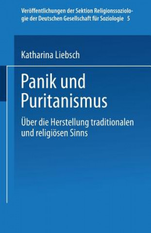 Książka Panik Und Puritanismus Katharina Liebsch