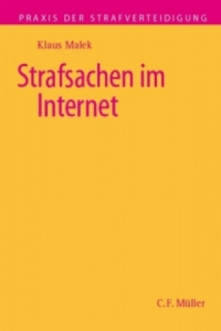 Kniha Strafsachen im Internet Klaus Malek