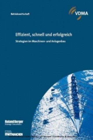 Livre Effizient, schnell und erfolgreich Günther Schuh