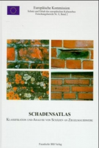 Könyv Schadensatlas - Klassifikation und Analyse von Schäden an Ziegelmauerwerk Lutz Franke