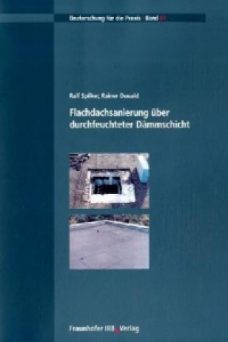 Kniha Flachdachsanierung über durchfeuchteter Dämmschicht Ralf Spilker