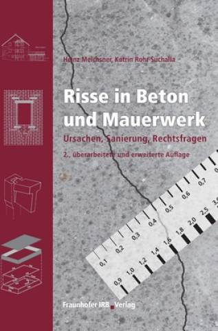 Kniha Risse in Beton und Mauerwerk. Heinz Meichsner