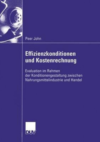 Kniha Effizienzkonditionen Und Kostenrechnung Peer John