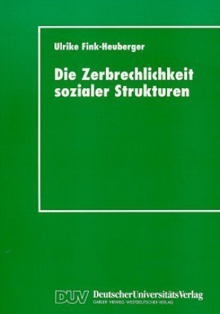 Könyv Die Zerbrechlichkeit sozialer Strukturen Ulrike Fink-Heuberger