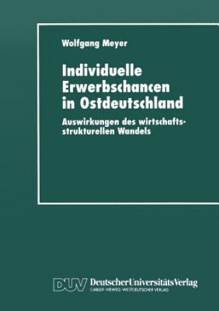 Kniha Individuelle Erwerbschancen in Ostdeutschland Wolfgang Meyer