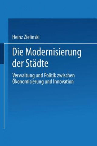 Kniha Die Modernisierung Der St dte Heinz Zielinski