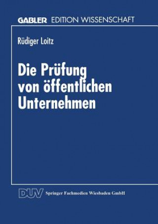 Kniha Die Pr fung Von  ffentlichen Unternehmen Rüdiger Loitz