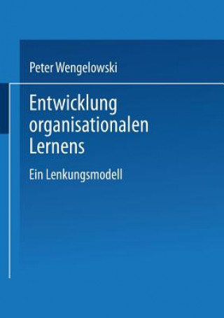 Kniha Entwicklung Organisationalen Lernens Peter Wengelowski