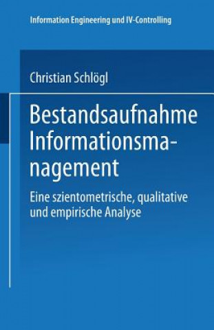 Książka Bestandsaufnahme Informationsmanagement Christian Schlögl