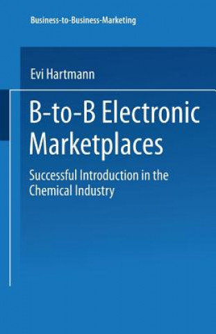 Kniha B-to-B Electronic Marketplaces Evi Hartmann