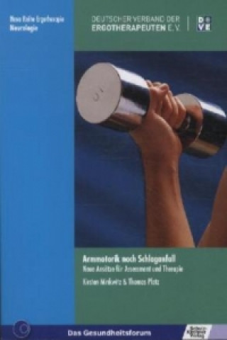 Kniha Armmotorik nach Schlaganfall Kirsten Minkwitz
