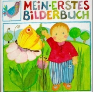 Kniha Mein erstes Bilderbuch Eva M Ott-Heidmann