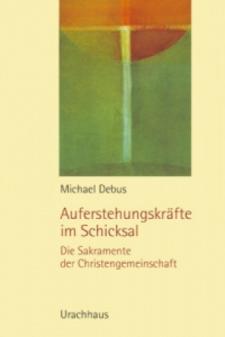 Buch Auferstehungskräfte im Schicksal Michael Debus