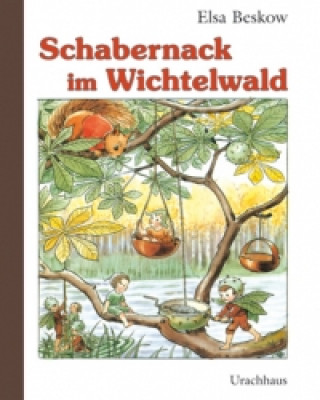 Kniha Schabernack im Wichtelwald Elsa Beskow