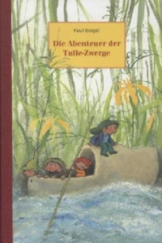 Book Die Abenteuer der Tulle-Zwerge Paul Biegel