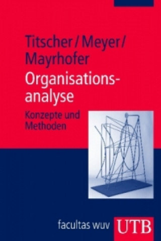 Kniha Organisationsanalyse Stefan Titscher