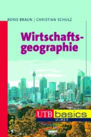 Buch Wirtschaftsgeographie Boris Braun