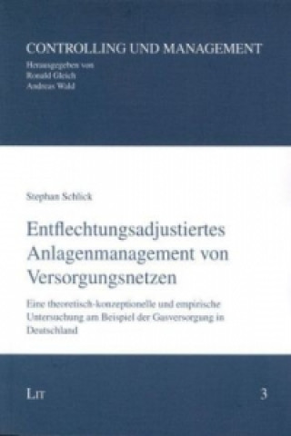 Kniha Entflechtungsadjustiertes Anlagenmanagement von Versorgungsnetzen Stephan Schlick