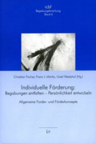 Book Individuelle Förderung: Begabungen entfalten - Persönlichkeit entwickeln Christian Fischer