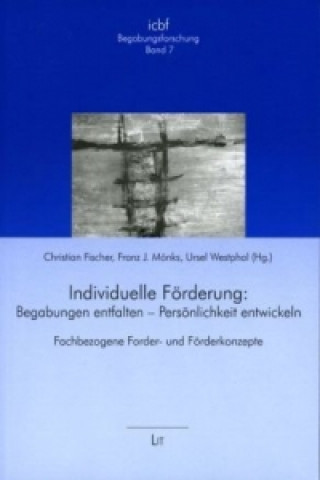 Kniha Individuelle Förderung: Begabungen entfalten - Persönlichkeit entwickeln Christian Fischer